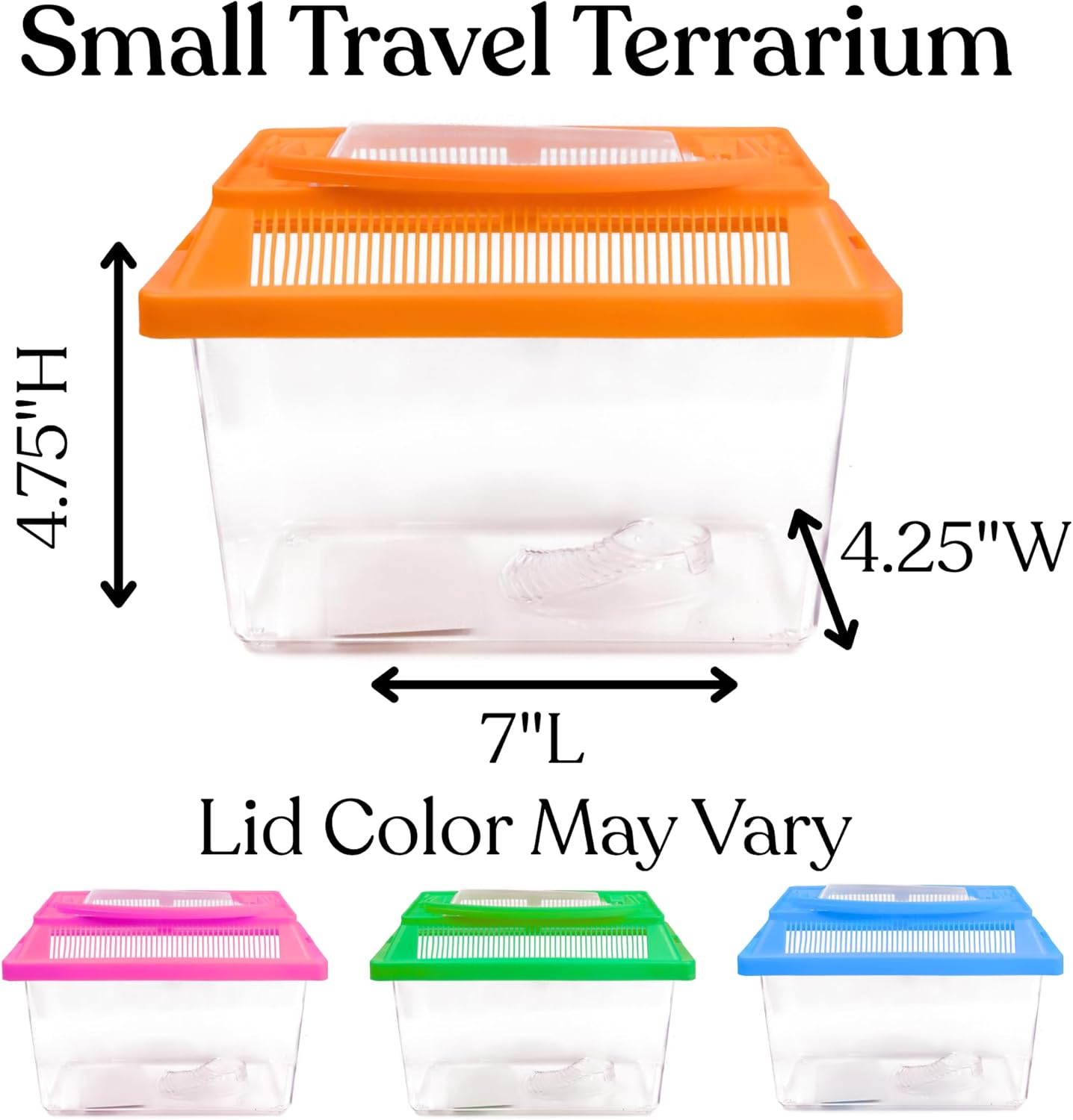 Needzo Mini Neon Plastic Reptile Carrier, Small Terrariums for Hermit Crabs, Lizards, and More with Palm Tree Accessory, Crab Hunting Supplies, Color May Vary, 7 Inches - FurryFun