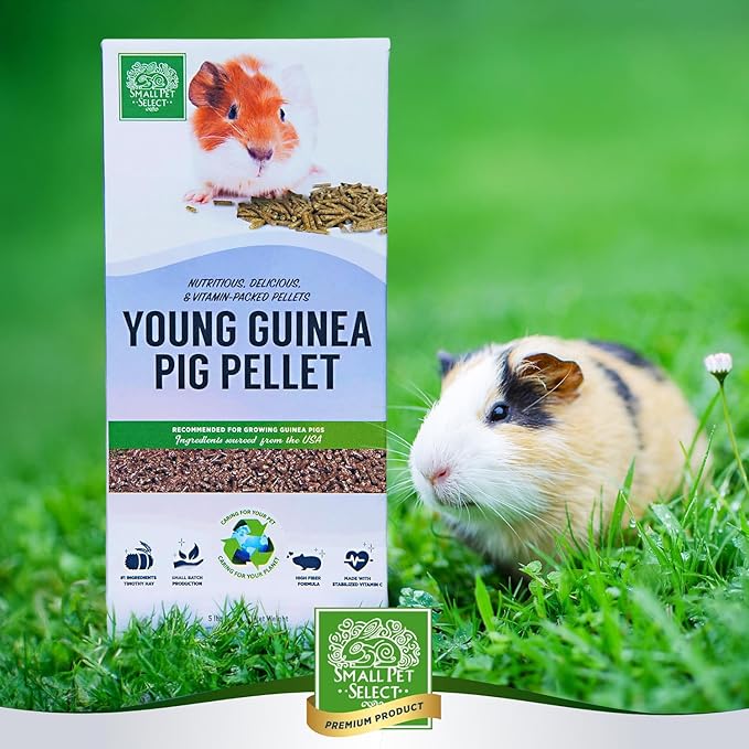 Small Pet Select Young Guinea Pig Pellet Food, Pellets, Treats for Guinea Pigs High Fiber Timothy Hay Based Formula, 5lb