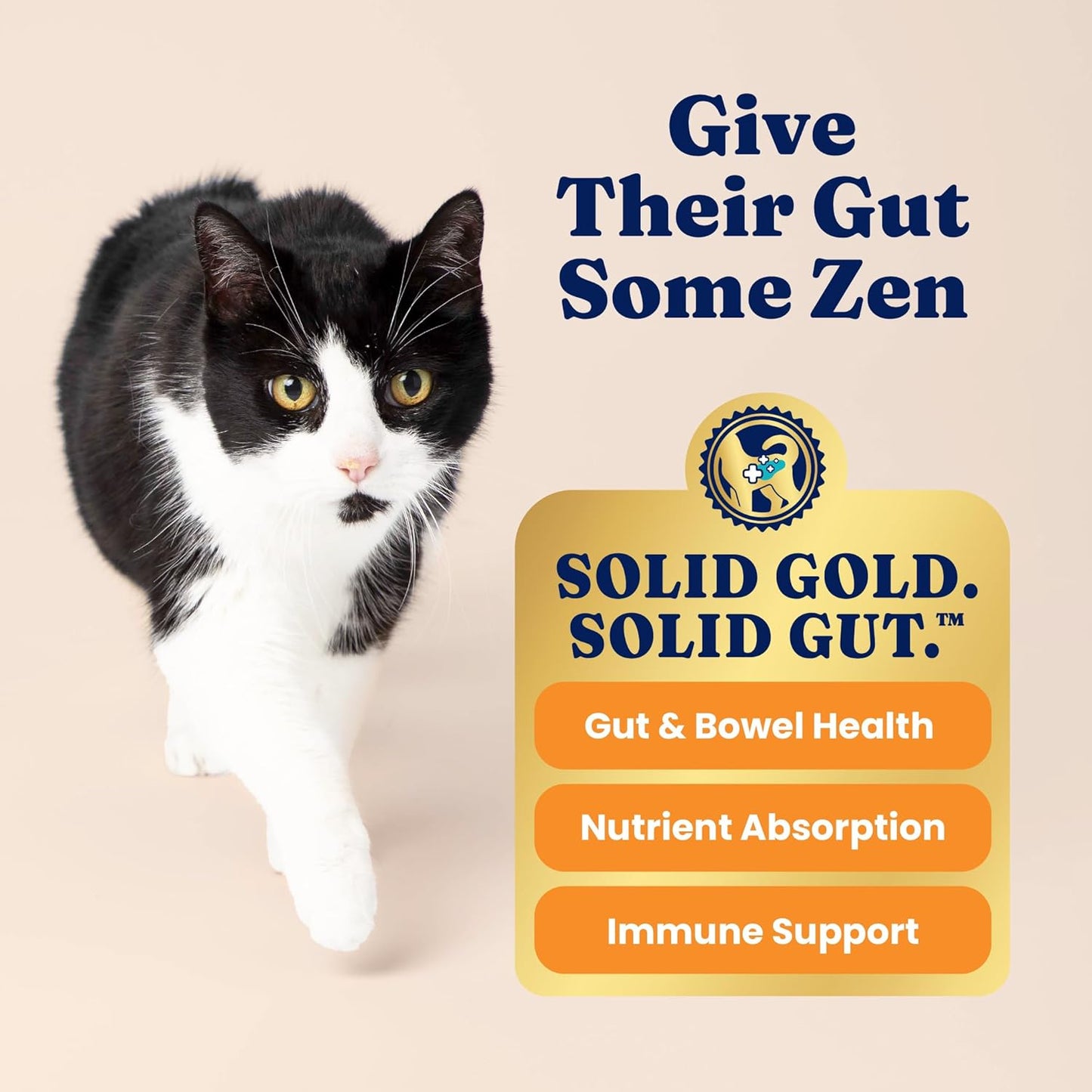 Solid Gold Dry Cat Food for Indoor Cats of All Ages - W/Lamb, Brown Rice, Barley, Probiotics & Fiber for Gut Health- Holistic & Healthy Cat Kibble for Kittens & Adults - Dry Kibble for Cats - 12 LB