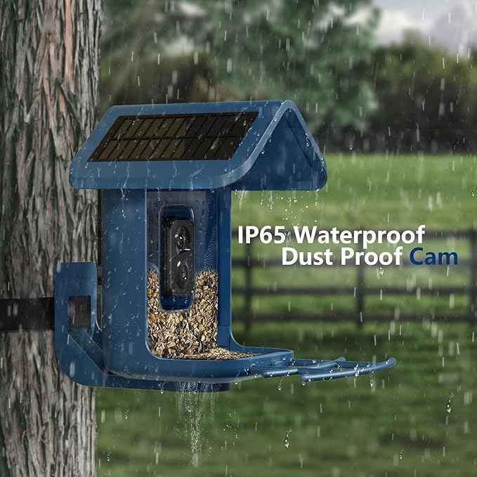 Bird Feeder with Camera Solar Powered : Smart Camera Bird Feeder 2K Live Feed Cam for Outdoor Backyard - Ai Identify Auto Capture Videos Pictures, Gifts for Birdlover Mom Dad, 2.4GHz WiFi