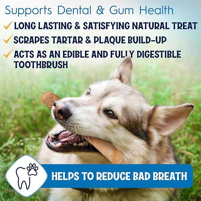 12" Collagen Sticks for Dogs – Low Odor Long-Lasting Bully Stick & Rawhide Alternative, Single Ingredient Beef Bone, High Protein Dental Treat, Vet Approved, Improves Joint Health – 5 Pack