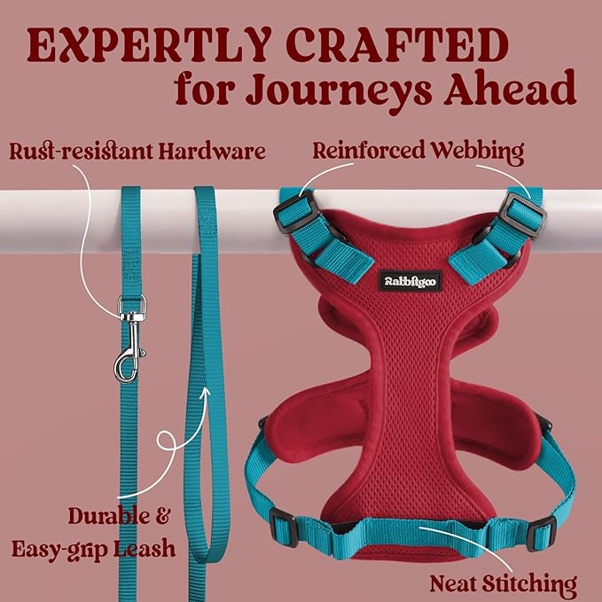 rabbitgoo Cat Harness and Leash for Walking, Escape Proof Soft Adjustable Vest Harnesses for Cats, Easy Control Breathable Reflective Strips Jacket, Red & Teal, XS