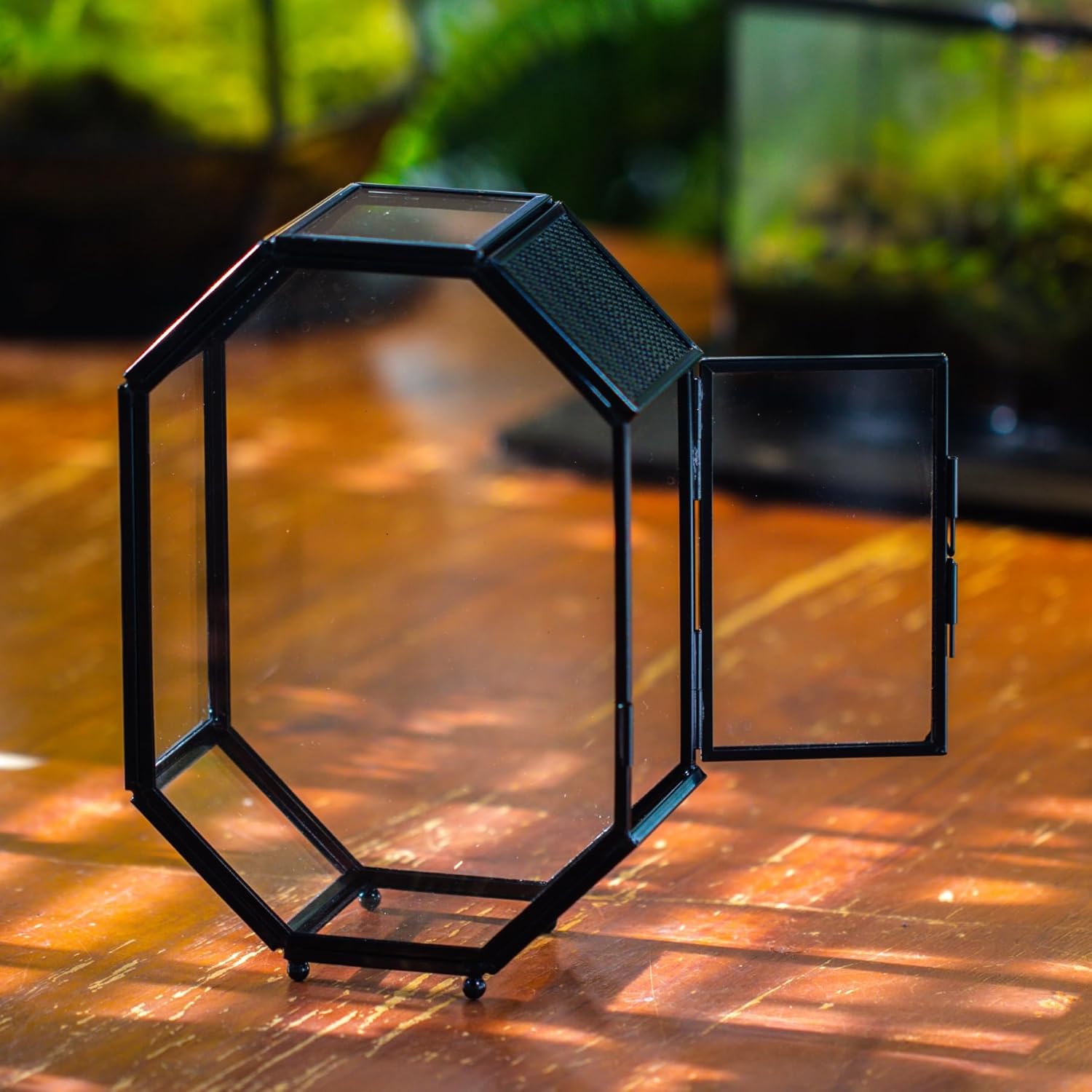 NCYP Mini Glass Terrarium with Vent and Door for Succulents Plants, Jumping Spiders, Insect - Octagon Small Closed Geometric Enclosure, Black Indoor Tabletop Decor, 5 x 2.3 x 7 Inches (Terrarium Only) - FurryFun