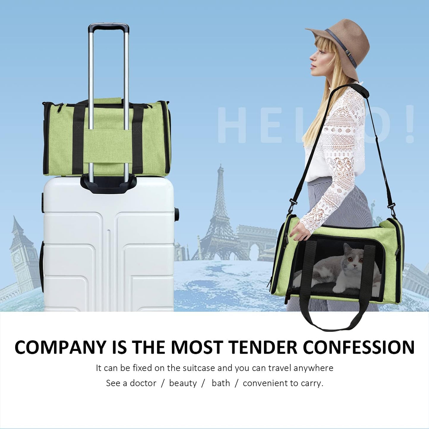 Large Cat Carriers Dog Carrier Pet Carrier for Large Cats Dogs Puppies up to 25Lbs, Big Dog Carrier Soft Sided, Collapsible Travel Puppy Carrier - Large - Green