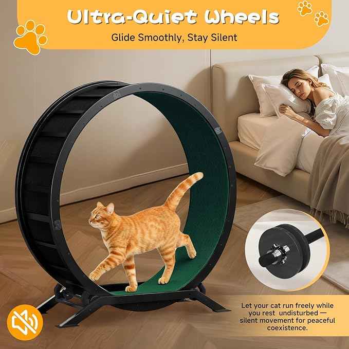 GTPLAYER Cat Wheels, Large Cat Exercise Wheel for Indoor Cats, 40"Diameter cat treadmill Detachable Carpet & Teaser, stickers, Ultra-quiet scroll wheel With latch, Suitable for Most Cats, Metal, Green