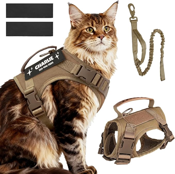 Cat Harness and Leash Escape Proof Tactical Cat Harness with Custom Patches Adjustable Soft Vest for Walking & Training Comfortable Outdoor Gear Fits Small Medium Large Cats (8-20 lbs)