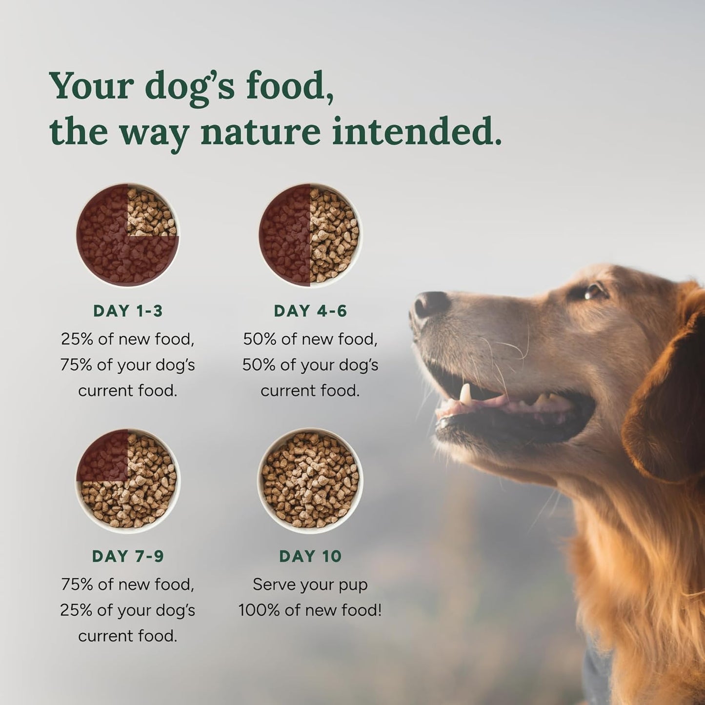 360 Pet Nutrition Freeze-Dried Raw Dog Food – Chicken Recipe with Liver & Organs, High Protein, Omega-3s, Fruits, Veggies & Superfoods, Grain-Free, No Fillers, 1 lb – Made in USA
