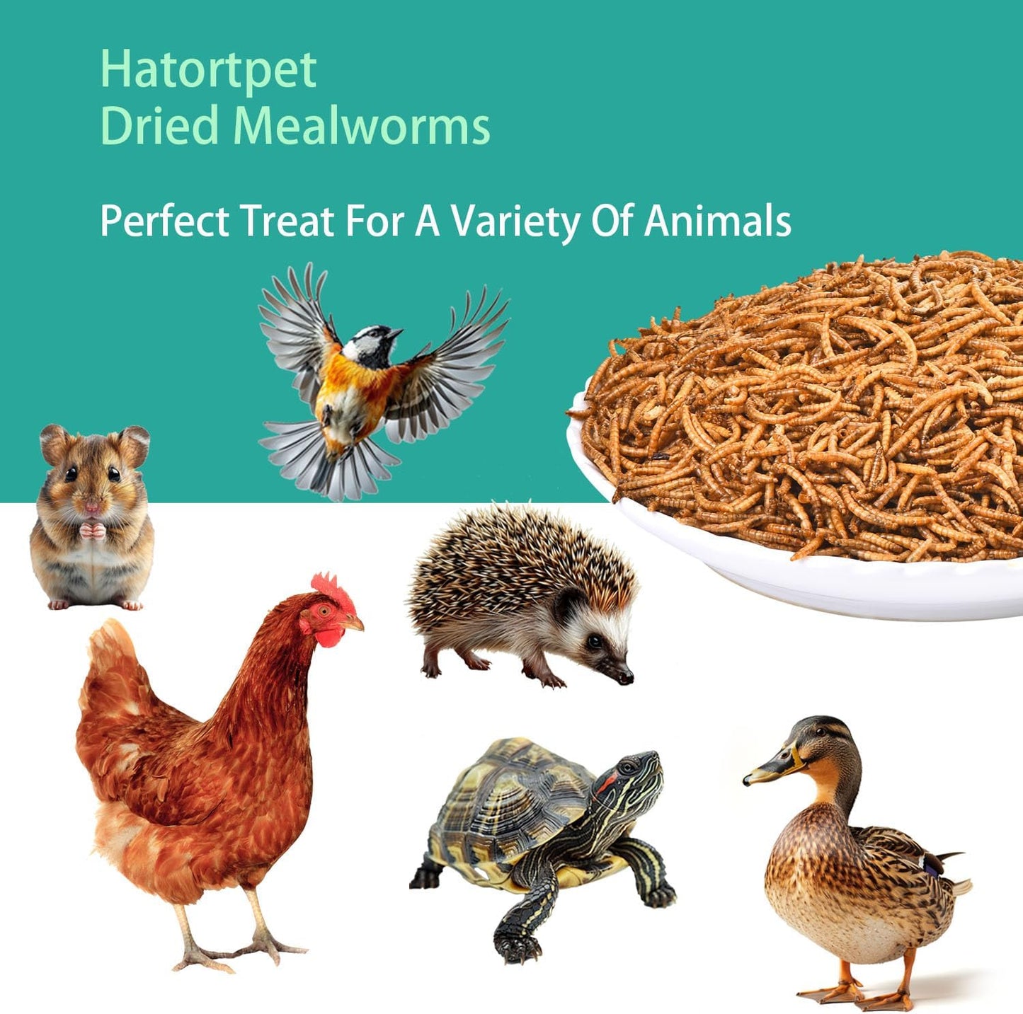 Dried Mealworms 5LB Pure Natural Non-GMO Mealworms for Chickens High Protein Chickens Feed Meal Worms for Laying Hens Wild Birds