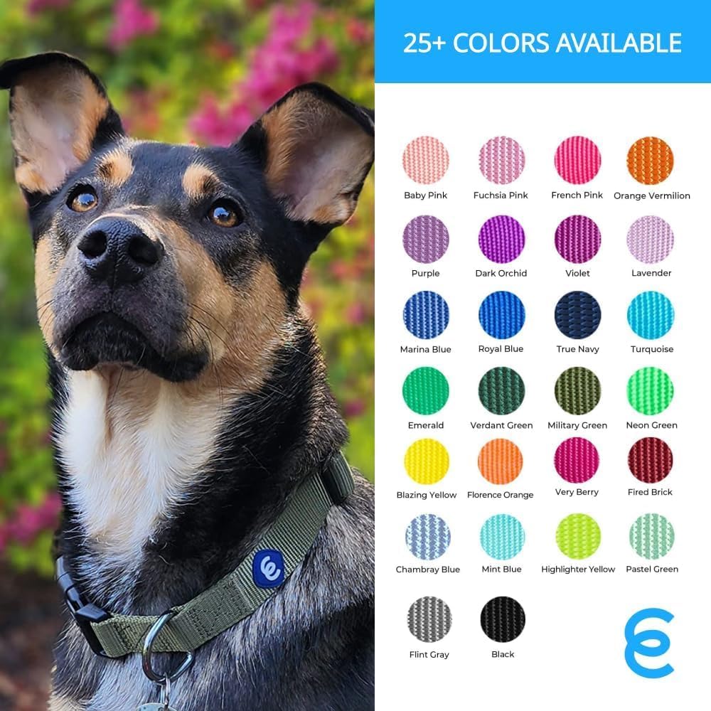 Blueberry Pet Essentials Small Dog Collar | Fired Brick Nylon Dog Collar with Quick Release | Girl & Female Dog Collars for Fall