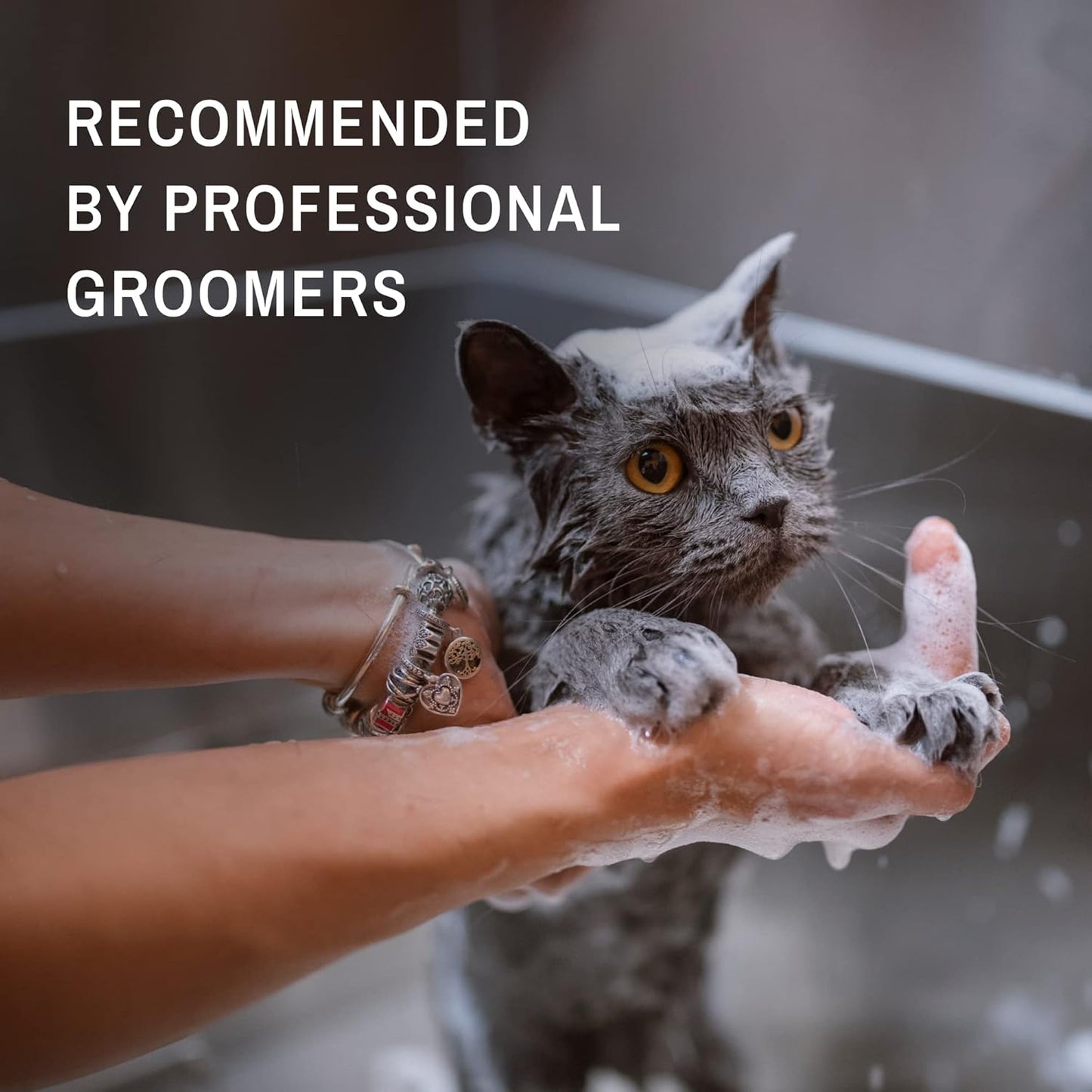 Eye Envy Tear Stain Facial Cleanser for Dogs and Cats. Washes Away Crusty Eye Debris, Eye Boogers, Eye Discharge. Tearless Foaming Formula. Treats The Cause of Staining. All-Natural. 1 US Gallon