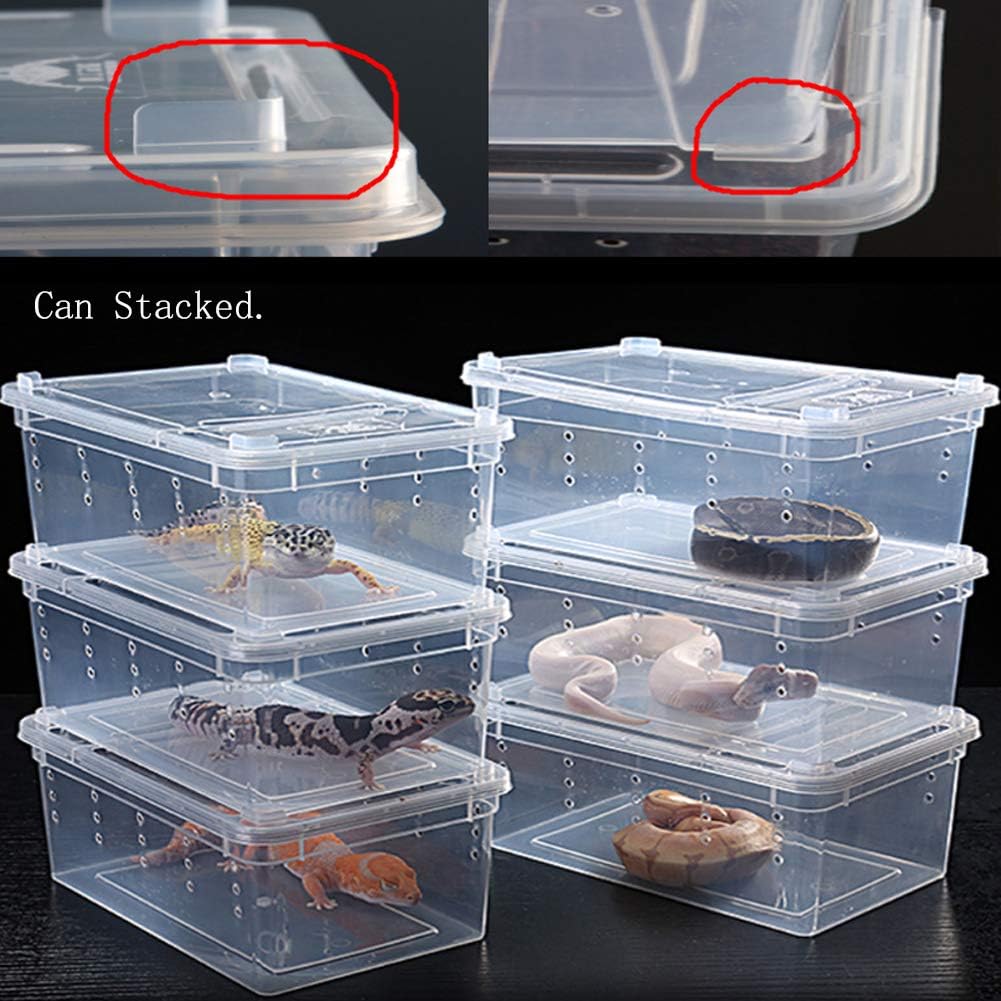 Hamiledyi Reptile Feeding Box Lizard Tarantula Habitat Cage Hatching Container Snake Breeding Box Transparent Portable Plastic Mini Pet Houses for Scorpion Spider Frog - FurryFun