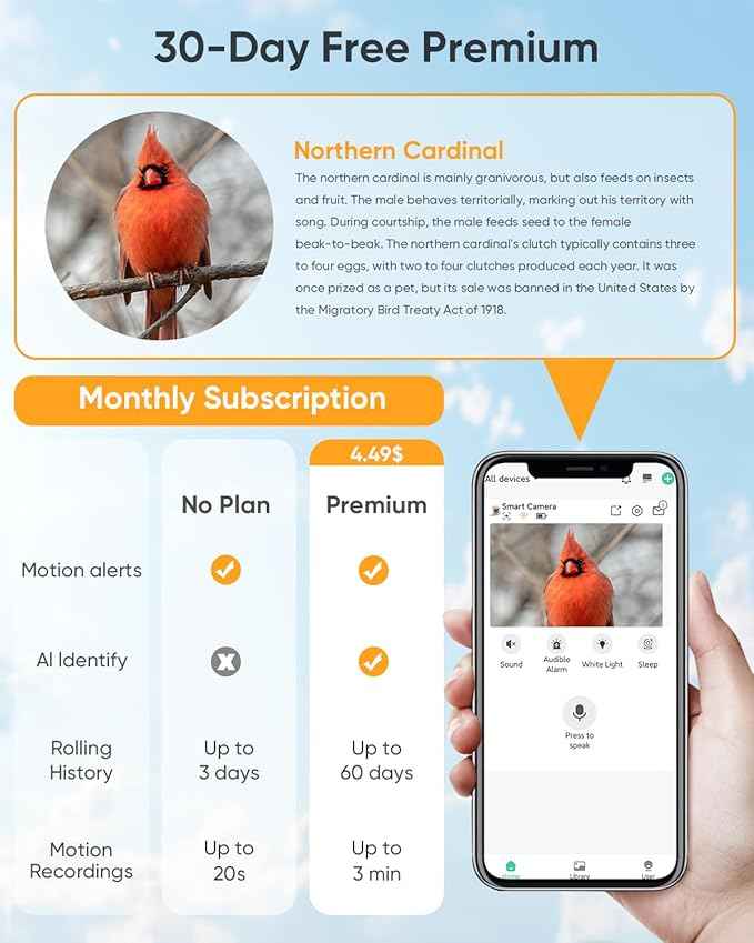 Bird Feeder with Camera Solar Powered : Smart Camera Bird Feeder 2K Live Feed Cam for Outdoor Backyard - Ai Identify Auto Capture Videos Pictures, Gifts for Birdlover Mom Dad, 2.5GHz WiFi