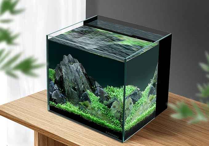 LANDEN 35C 7.2 Gallon Ultra Clear All Glass Rimless Low Iron Aquarium Tank with Rear Filtration Chamber(Pump Included) for Salt and Fresh Water.13.8''Wx13.8''Dx13.8''H 35cm Cube in 6mm Thickness