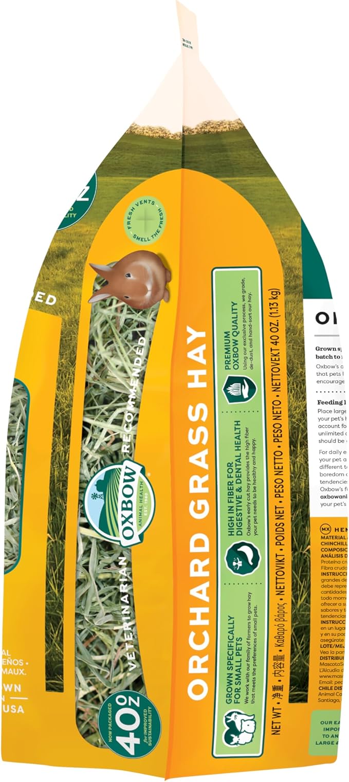 Oxbow Orchard Grass Hay for Small Pets – All-Natural Long Strand Fiber Hay for Rabbits, Guinea Pigs, Chinchillas, and Hamsters – Supports Digestive Health and Enrichment – 40 oz Bag