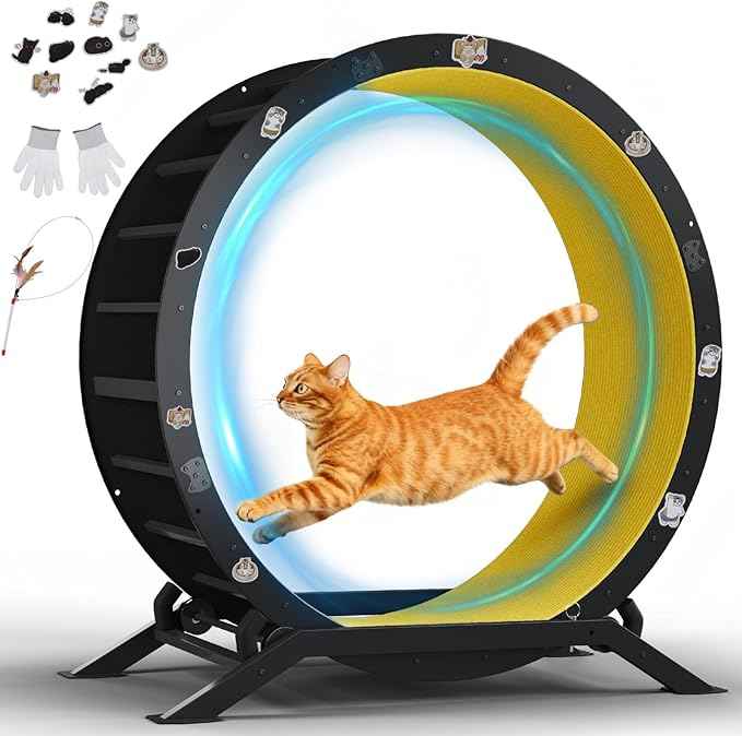 GTPLAYER Cat Wheels, Large Cat Exercise Wheel for Indoor Cats, 40"Diameter cat treadmill Detachable Carpet & Teaser, stickers, Ultra-quiet scroll wheel With latch, Suitable for Most Cats Metal, Yellow