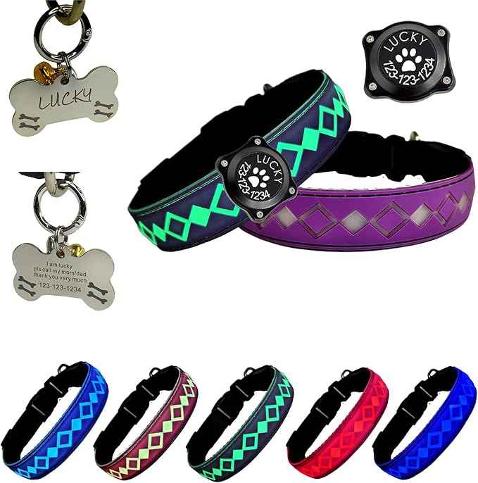 LED Dog Collar with AirTag Holder and Custom ID Tag, 15 Light Modes, Waterproof, Multiple Colors (PURPLE, L(15.7-19.7"))