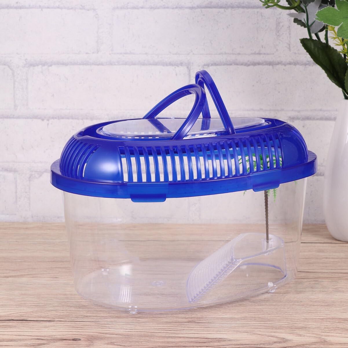 POPETPOP Turtle Tank with Lid : Plastic Tortoise Habitat with Basking Platform Transparent Reptile Tank for Turtle, 12.99x9.06x5.31 inch - FurryFun