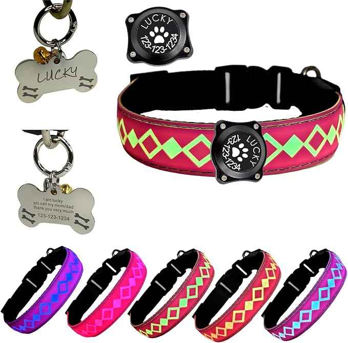 LED Dog Collar with AirTag Holder and Custom ID Tag, 15 Light Modes, Waterproof, Multiple Colors (PINK, L(15.7-19.7"))