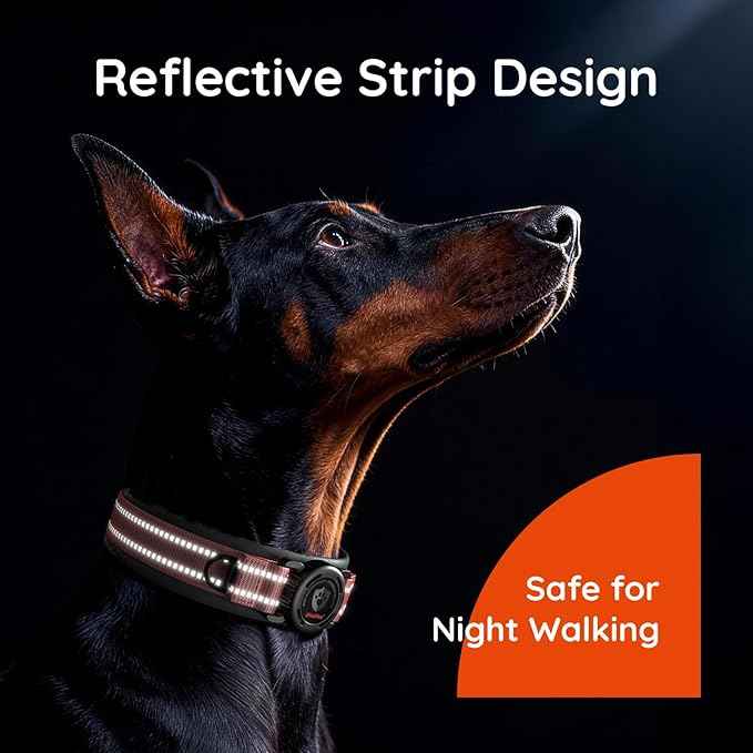 Upgraded AirTag Dog Collar with Holder, Waterproof Reflective Air Tag Dog Collar with Widened Comfortable Padding & Ultra-Durable Metal Buckle, Adjustable for Medium (Rose Red, Small)