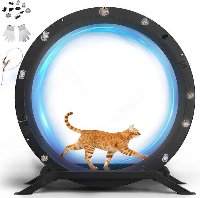 GTRACING Cat Wheels, 40" Diameter, Large Cat Exercise Wheel for Indoor Cats cat Treadmill Metal with Detachable Carpet & Teaser/Stickers, Ultra-Quiet Scroll Wheel with Latch, Safe and Stable, Dark
