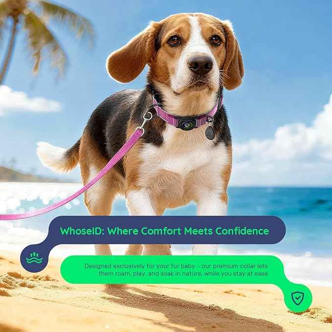 WhoseID Premium AirTag Dog Collar - Air Tag Small Dog Collar | Fur-Safe Magnetic Buckle | IPX8 Waterproof Reflective Dog Collar with AirTag Holder