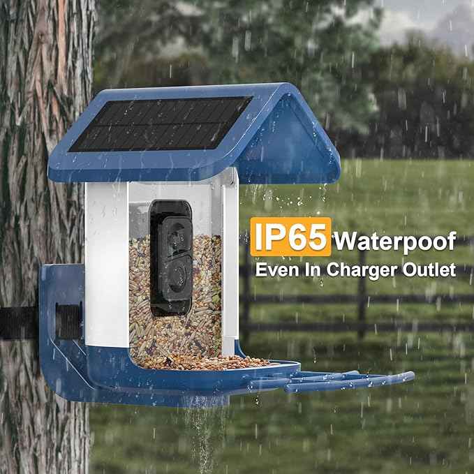 Bird Feeder with Camera Solar Powered : Smart Camera Bird Feeder 2K Live Feed Cam for Outdoor Backyard - Ai Identify Auto Capture Videos Pictures, Gifts for Birdlover Mom Dad, 2.6GHz WiFi
