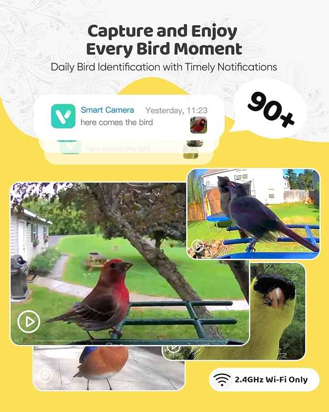 Bird Feeder with Camera Solar Powered : Smart Camera Bird Feeder 2K Live Feed Cam for Outdoor Backyard - Ai Identify Auto Capture Videos Pictures, Gifts for Birdlover Mom Dad, 2.4GHz WiFi