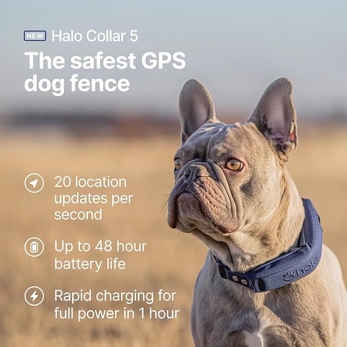 Halo Collar 5 Wireless Dog Fence & GPS Dog Collar, Keep Your Dog Safely Contained Outdoors with App-Controlled Boundaries and Real-Time Tracking, One Size, Realtree Camo