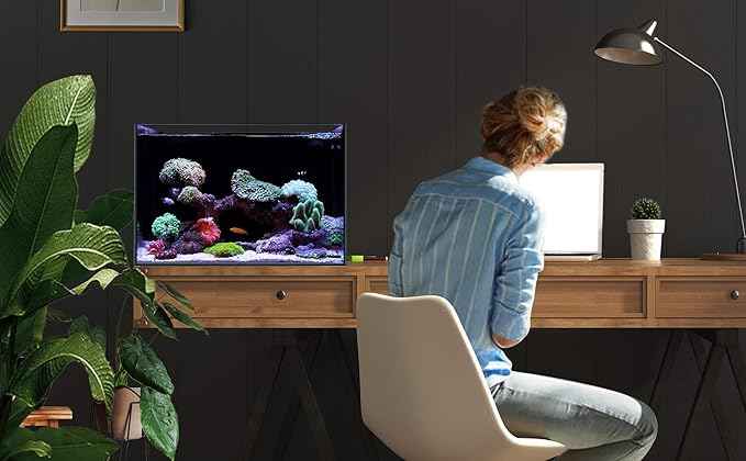 Landen 45P 15 Gallon Ultra Clear All Glass Rimless Low Iron Aquarium Tank with Rear Filtration Chamber(Return Pump Included)for Salt and Fresh Water.17.7''Wx17.7''Dx15.8''H in(45x45x40cm)6mm Thickness