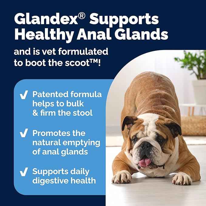 Vetnique Glandex Anal Gland Soft Chew Treats with Pumpkin for Dogs Digestive Enzymes, Probiotics Fiber Supplement for Dogs Boot The Scoot (Bacon Flavor Chews, 120 Count) (Pack of 2)