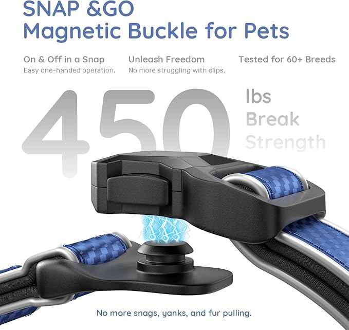 WhoseID Premium Leather Dog Collar - AirTag Dog Collar | Fur-Safe Magnetic Buckle | IPX8 Waterproof Reflective Small Dog Collar with AirTag Holder