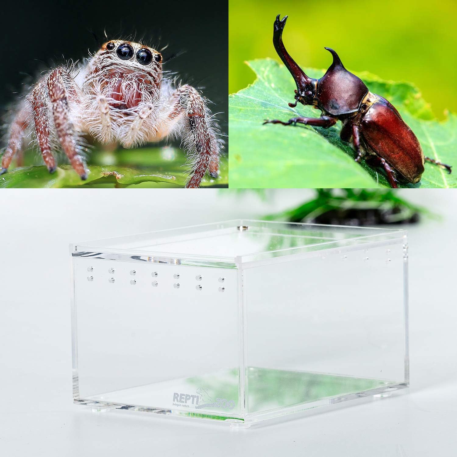 REPTI ZOO Magnetic Acrylic Case 4.1"x3.3"x2.5" Nano Enclosure Reptile Breeding Box Terrarium Cage Tank Tarantula Scorpion Sling Isopods Lizards Roach Invertebrates Insect Mantis - FurryFun