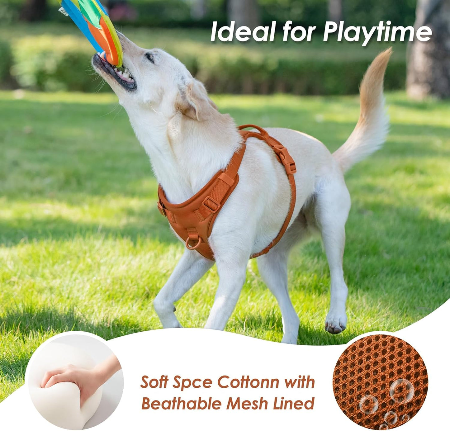 No Pull Dog Harness, Puppy Vest with Front Clip for Small Medium Large Sized Dog(Carmel Brown,S)