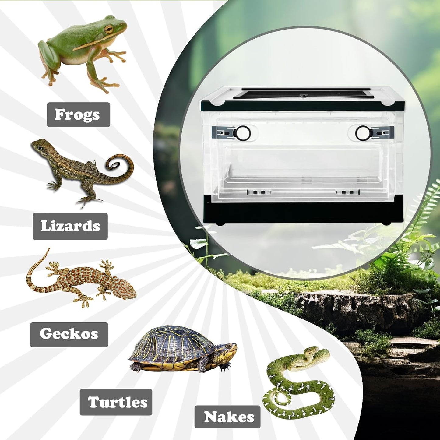 PINVNBY Plastic Reptile Feeding Box with Wheels,Reptiles Breeding Enclosure Cages Transparent Amphibians Habitat Terrarium Tank Portable Transport Container for Lizard,Bearded Dragon(Black) - FurryFun