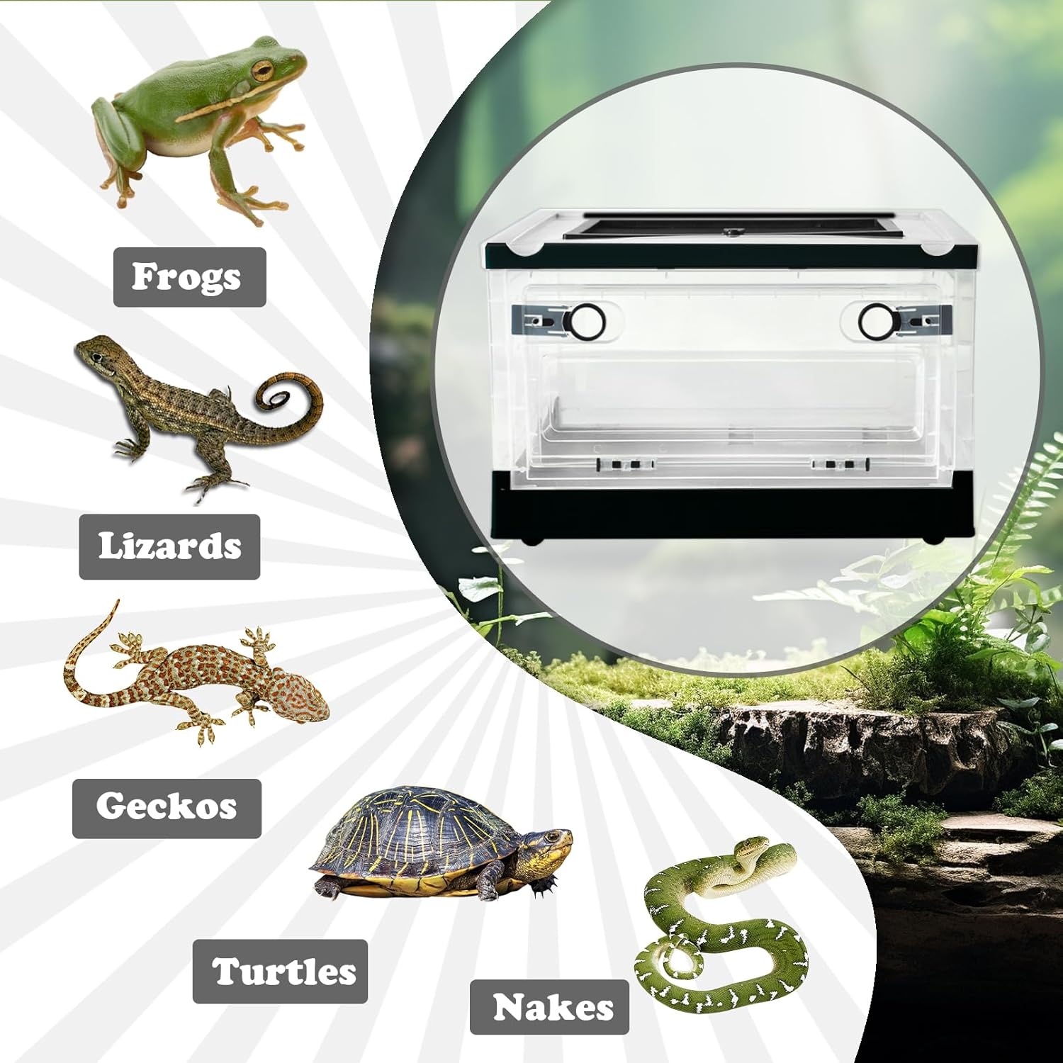 PINVNBY Plastic Reptile Feeding Box with Wheels,Reptiles Breeding Enclosure Cages Transparent Amphibians Habitat Terrarium Tank Portable Transport Container for Lizard,Bearded Dragon(Black) - FurryFun