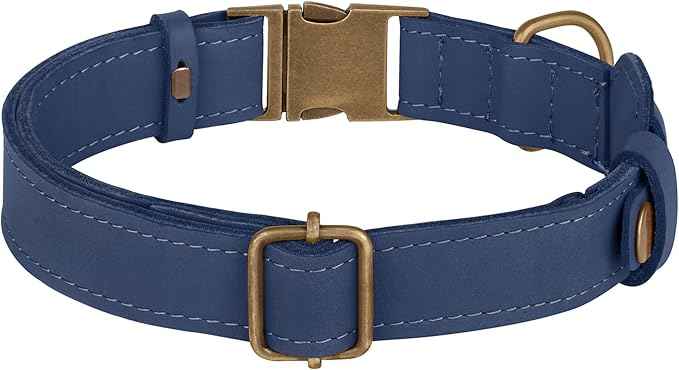 AirTag Dog Collar - Genuine Leather Dog Collar with Apple AirTag Holder and Metal Buckle - Smart GPS Tracking Pet Collars (Smoky Blue, S, 12"-15" Neck Fit) (Smoky Blue, XS, 9"-12" Neck Fit)