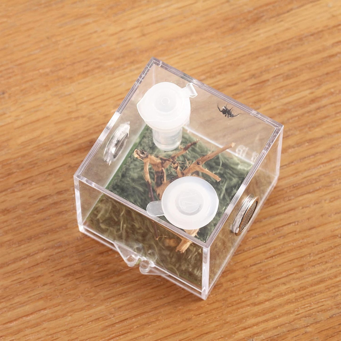 crapelles Jumping Spider Micro Big Habitat, Small Pet Insect Breeding Box, 360 Degree High Transparent Reptile Cage, Acrylic Case Mini Carrier for Amphibians, Feeding Container Enclosure Accessories - FurryFun
