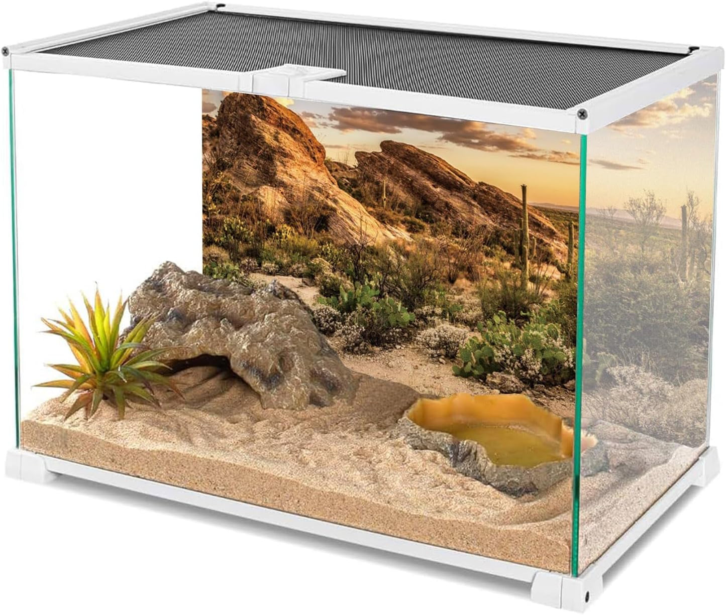 AWERT Reptile Habitat Background Blue Sky Oasis Cactus Sun and Desert Terrarium Background 24x12 inches Durable Polyester Background