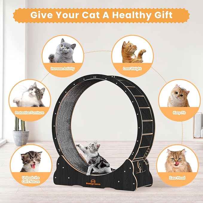 Homegroove Cat Wheels for Indoor Cats, 43" Large Cat Exercise Running Treadmill Wheel with Carpeted Runway for Kitty’s Longer Life, Black(L)