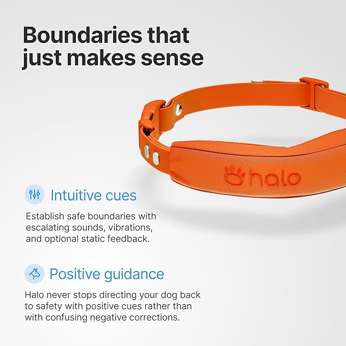 Halo Collar 5 Wireless Dog Fence & GPS Dog Collar, Keep Your Dog Safely Contained Outdoors with App-Controlled Boundaries and Real-Time Tracking, One Size, Sunburst