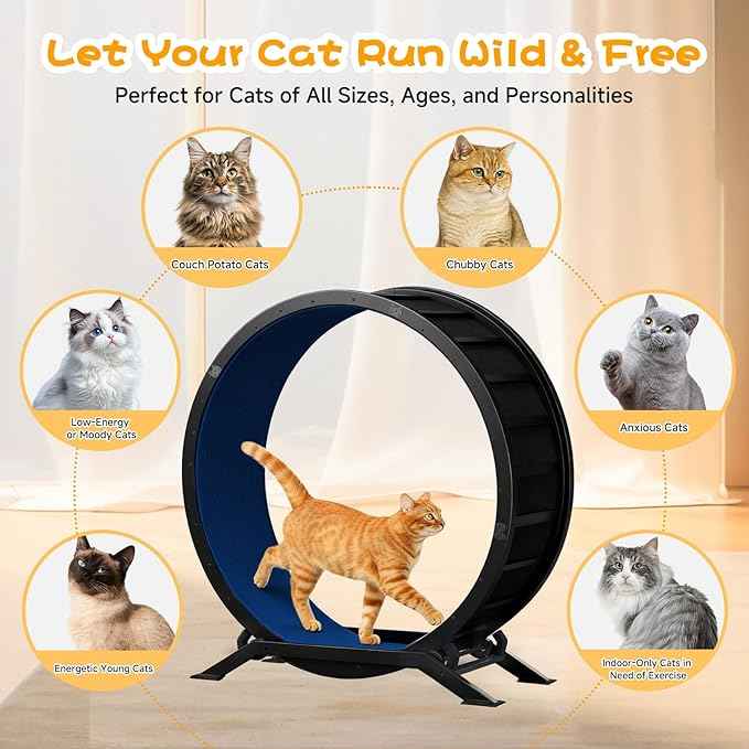 GTPLAYER Cat Wheels, Large Cat Exercise Wheel for Indoor Cats, 40"Diameter cat treadmill Detachable Carpet & Teaser, stickers, Ultra-quiet scroll wheel With latch, Suitable for Most Cats, Metal, Blue