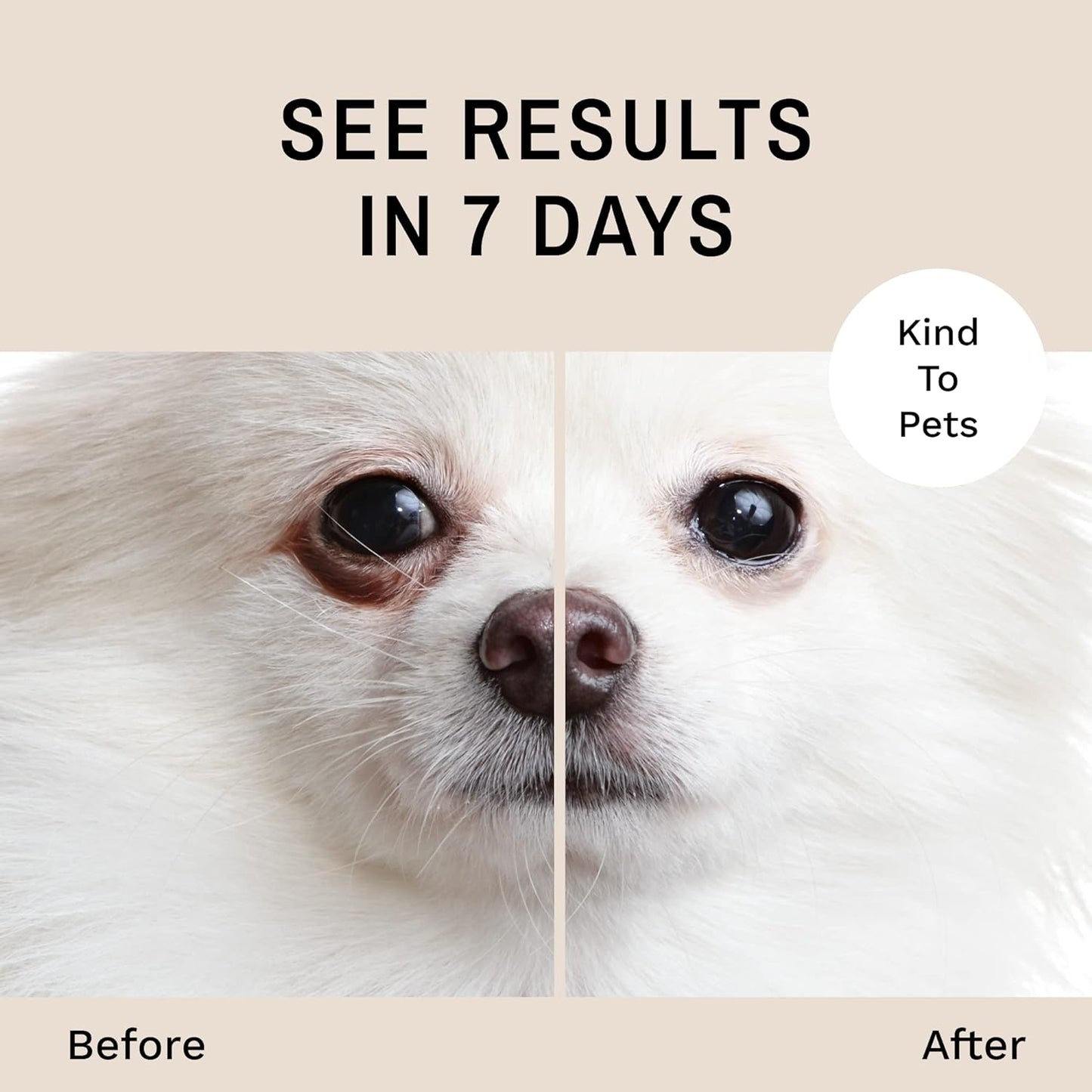 Eye Envy Tear Stain Remover Powder for Dogs and Cats. 100% Natural, Safe. Apply Around Eyes. Absorbs and Repels Tears. Keeps Area Dry. Treats The Cause of Staining. Made in The USA. (.5 oz)