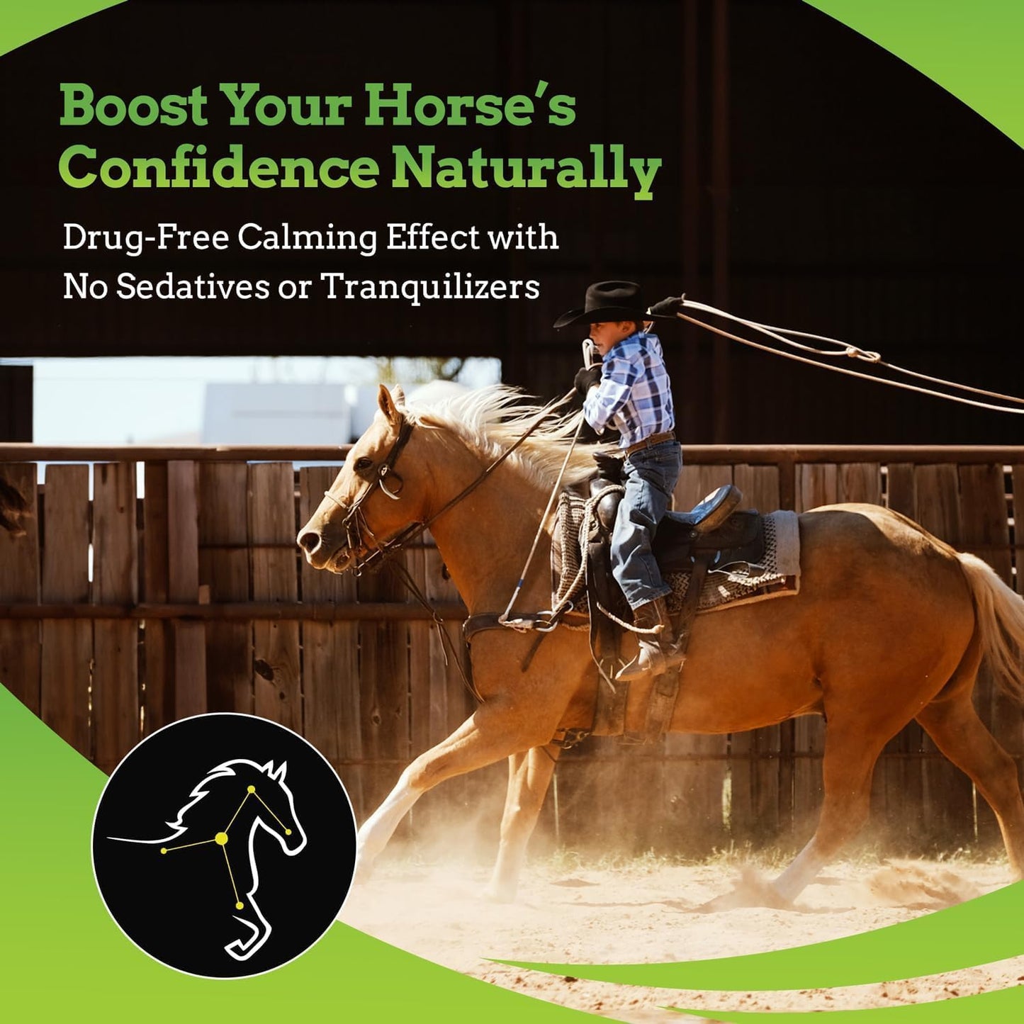 SynChill AF Calming Gel for Nervous Horses - Single Serving - Advanced Formula with L-Theanine, Increased Potency, 100% Natural Supplement, Disposition & Confidence Support for Horses - 25 Pack