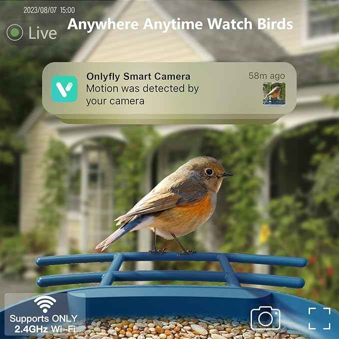Bird Feeder with Camera Solar Powered : Smart Camera Bird Feeder 2K Live Feed Cam for Outdoor Backyard - Ai Identify Auto Capture Videos Pictures, Gifts for Birdlover Mom Dad, 2.4GHz WiFi