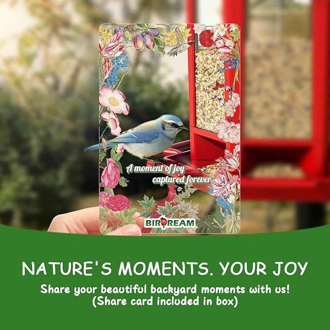 Birdream Bird Feeders for Outdoor Hanging, Fun Installation Pagoda Design Wild Birdfeeder, Attracting Wild Birds Sparrows Finch Cardinal Goldfinch Chickadee - Red