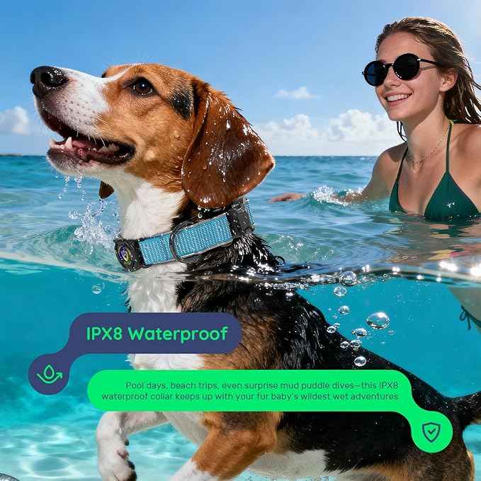 WhoseID Premium Dog Collar for Large Dogs - IPX8 Waterproof AirTag Dog Collar | Magnetic Buckle Heavy Duty Collar | 450LB Escape-Proof | Reflective Dog Collar with AirTag Holder