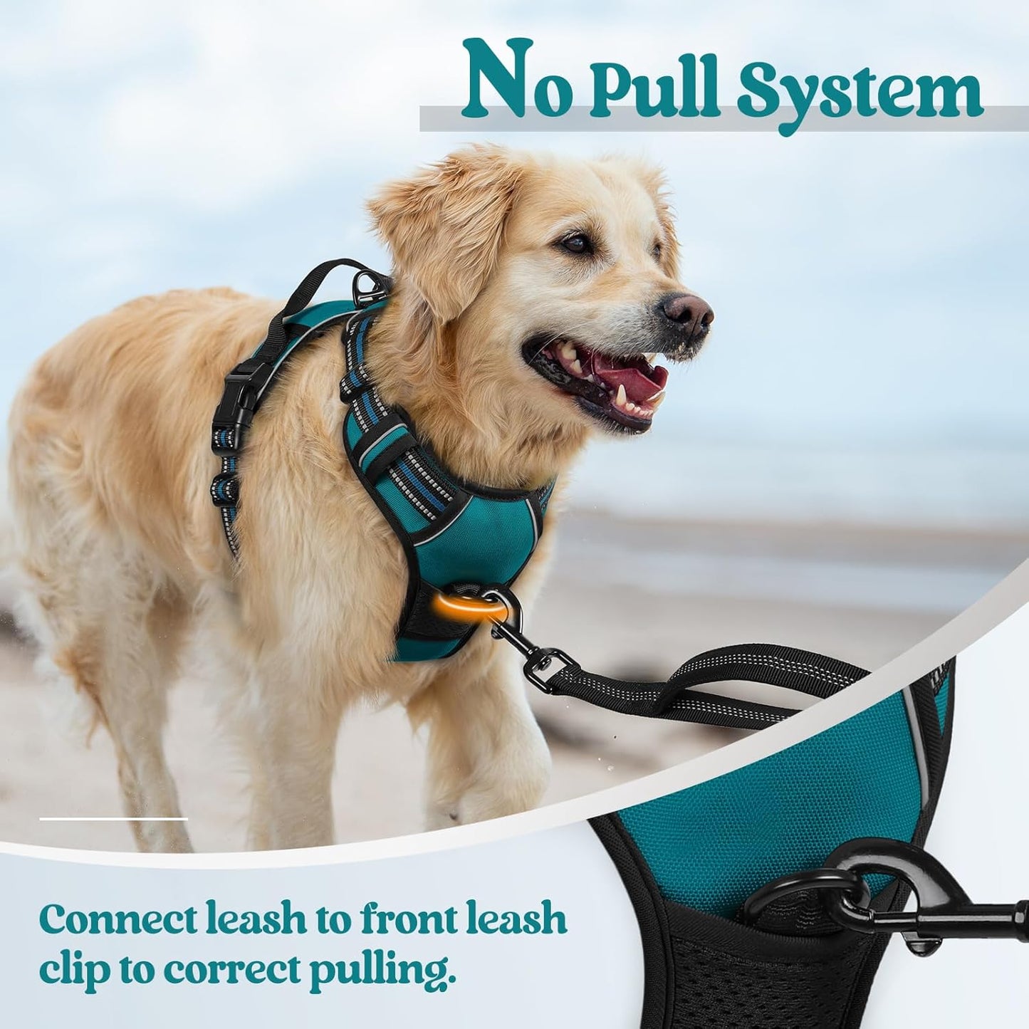 rabbitgoo Dog Harness No Pull with 2 Leash Clips, Adjustable Soft Padded, Reflective Oxford No Choke Pet Vest with Easy Control Handle for Medium Sized Dogs, Blue Coral, M