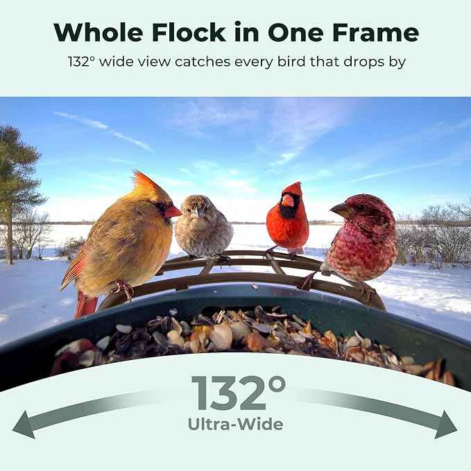 Solar Smart Bird Feeder with Camera - No Subscription, AI Bird Identification Included, 4K HD Live Video & 8MP Photos, Wireless Outdoor Wild Bird Watching Gifts for Bird Lovers, Brown