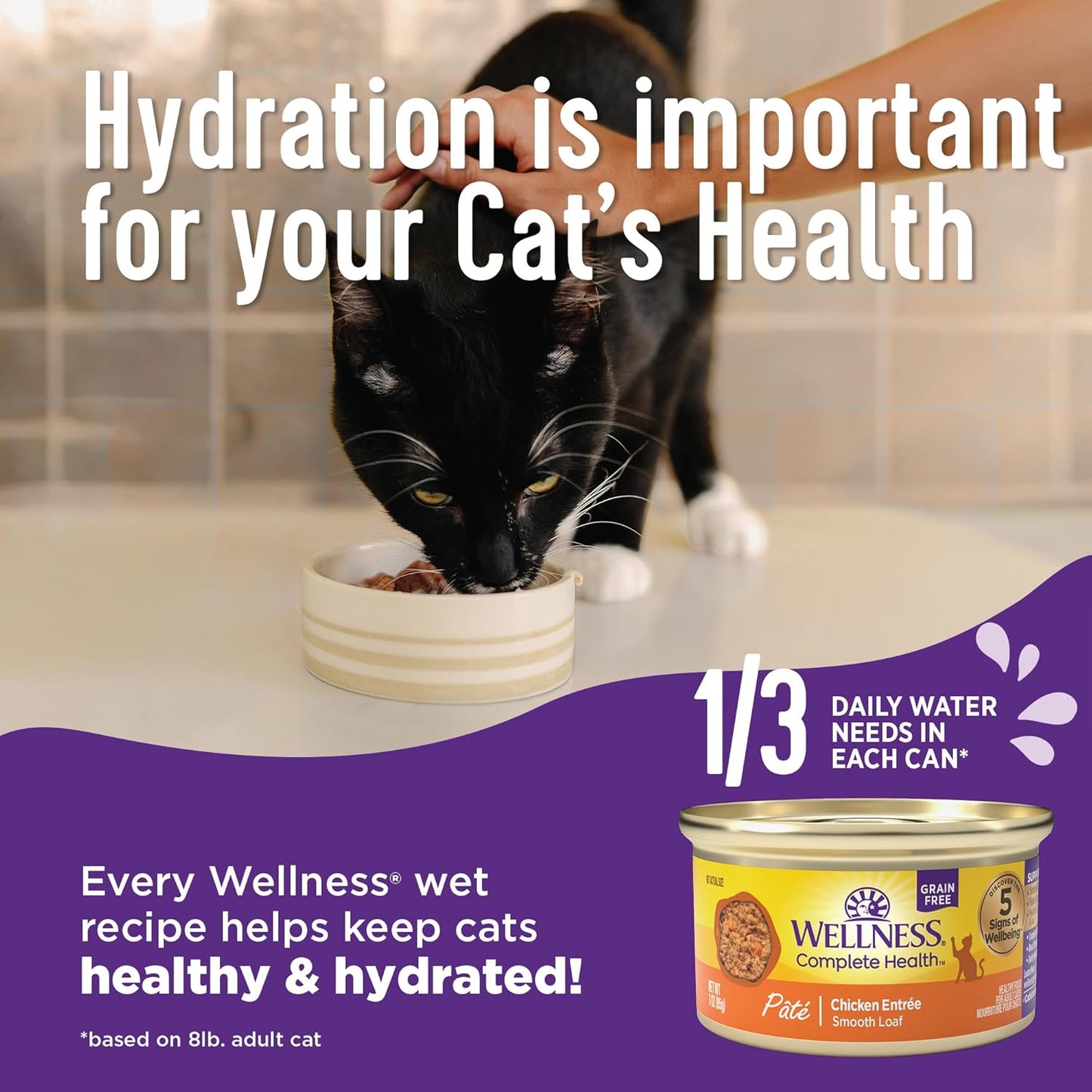 Wellness Complete Health Sliced Adult Wet Cat Food, Natural, Protein-Rich, Grain Free, 3 Ounce, 24 Pack, (Salmon Entrée)