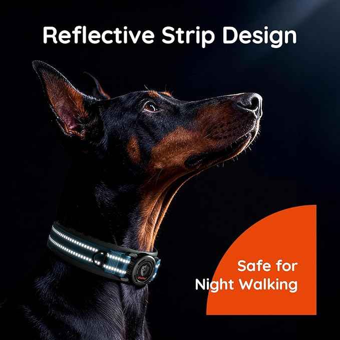 Upgraded AirTag Dog Collar with Holder, Waterproof Reflective Air Tag Dog Collar with Widened Comfortable Padding & Ultra-Durable Metal Buckle, Adjustable for Large Dogs (L, Blue)